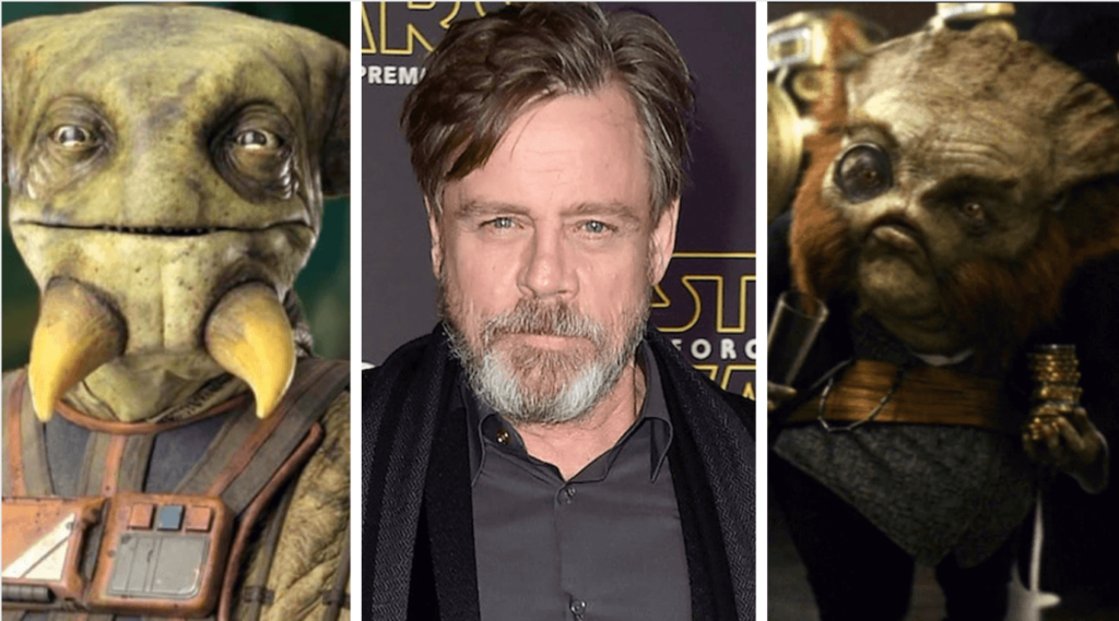 I cameo recenti.Da: inside the magic