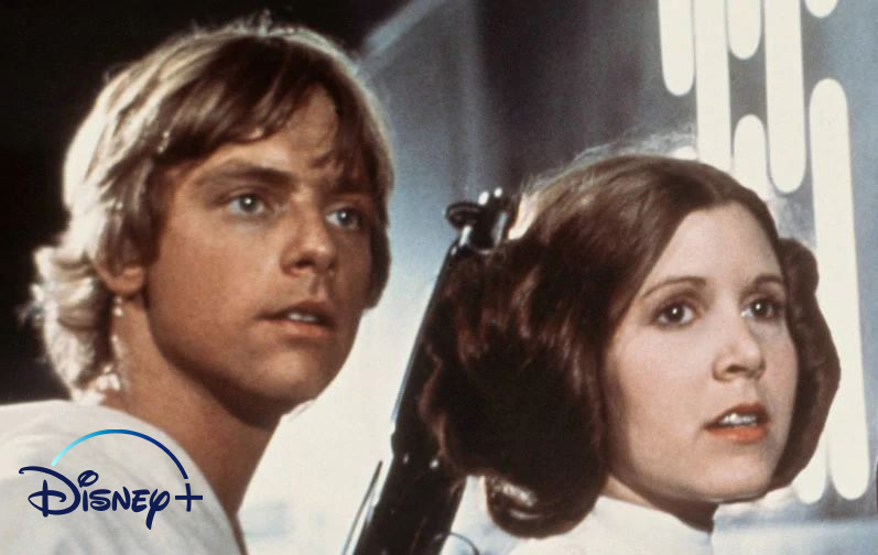 Luke e Leia in Star Wars