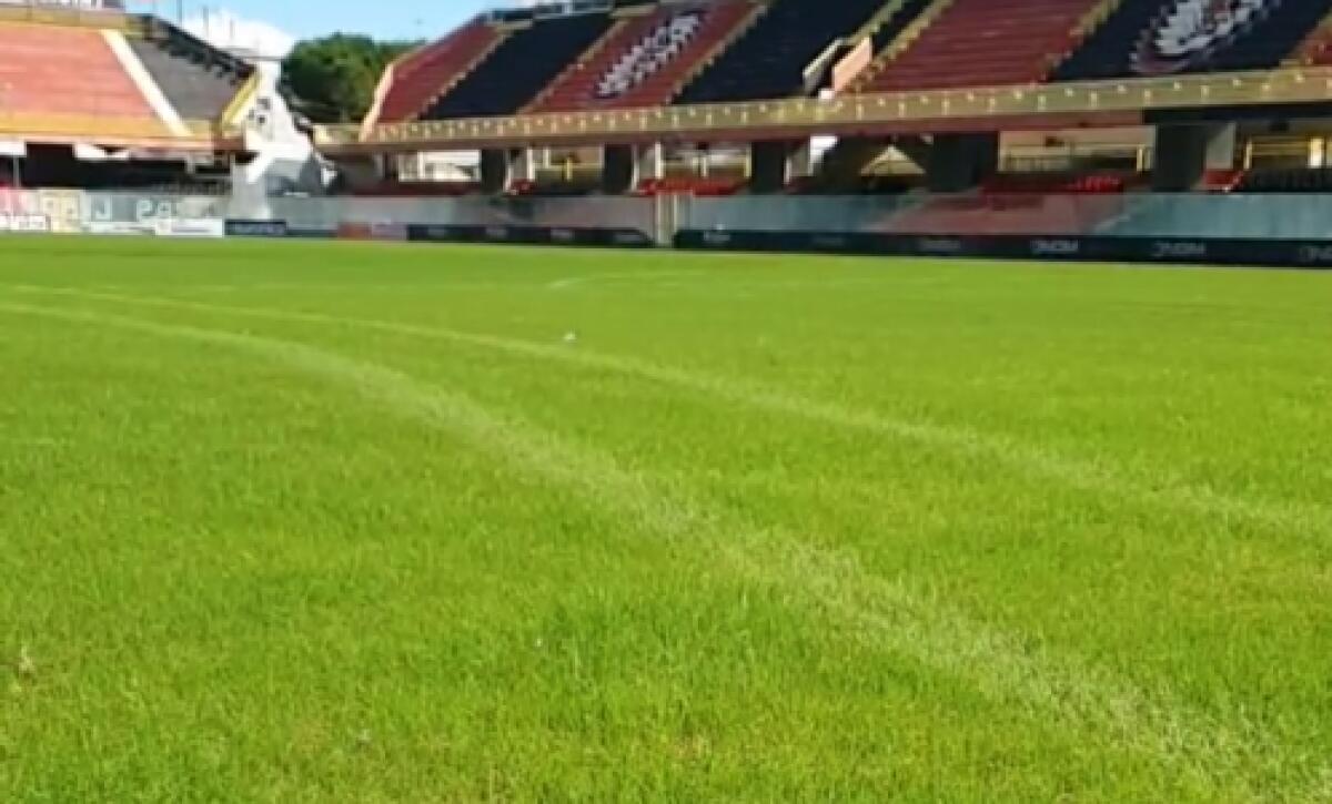 Foggia, migliorano le condizioni del manto erboso dello Zac - Il manto erboso del "Pino Zaccheria" - crediti foto: Instagram Stories Calcio Foggia 1920