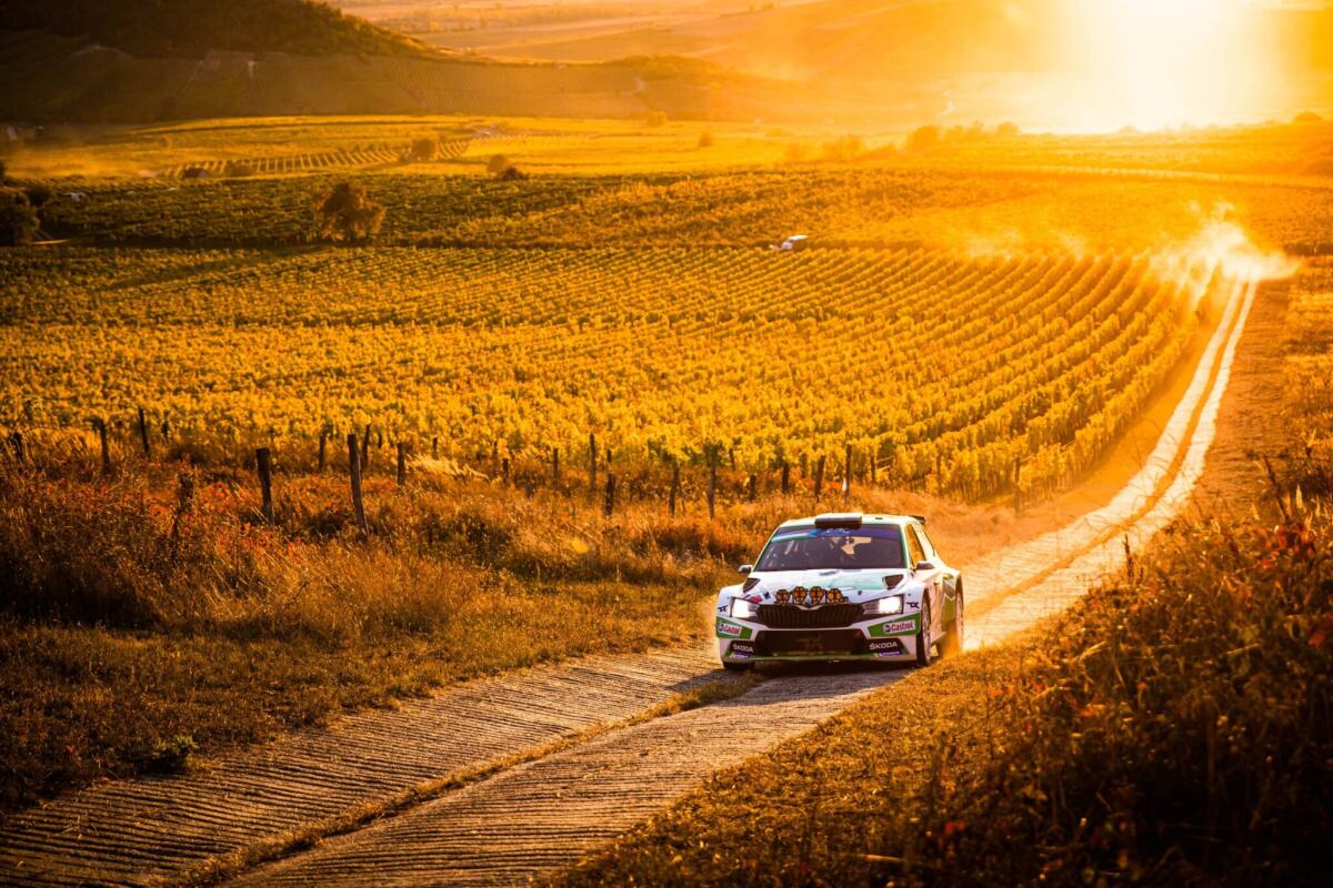 Mikkelsen campione europeo e pensa al WRC - 