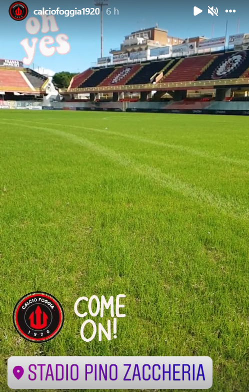 Il manto erboso del "Pino Zaccheria" - crediti foto: Instagram Stories Calcio Foggia 1920