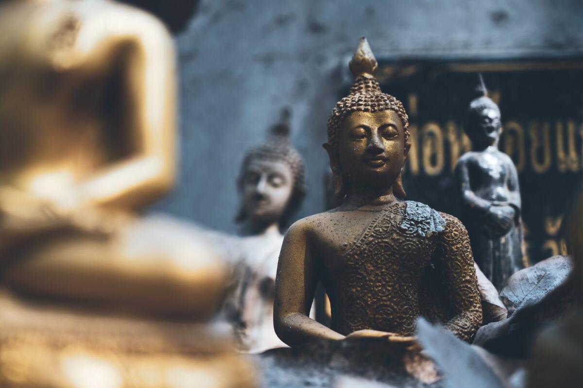 Auto-mummificazione: la bizzarra pratica dei monaci buddisti - Credits: Zuper_Dragon via Pixabay