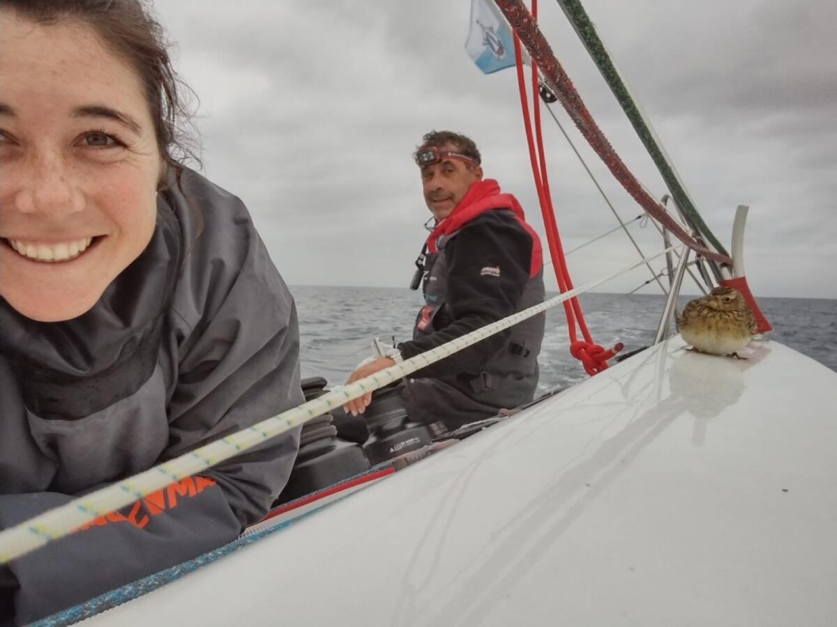Un Nastro Rosa veloce per la marina militare: le emozioni del primo gate - Ancona - Hanno impiegato poco meno di 24 ore i dieci Beneteau Figaro 3 protagonisti del Marina Militare Nastro Rosa Veloce – Fincantieri Cup, evento organizzato da Difesa Servizi S.p.A. e SSI Events in collaborazione con la Marina Militare, per raggi