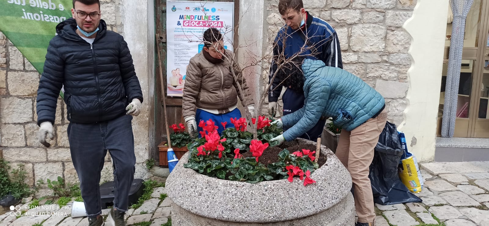 Ciclamini ad Orsara di Puglia