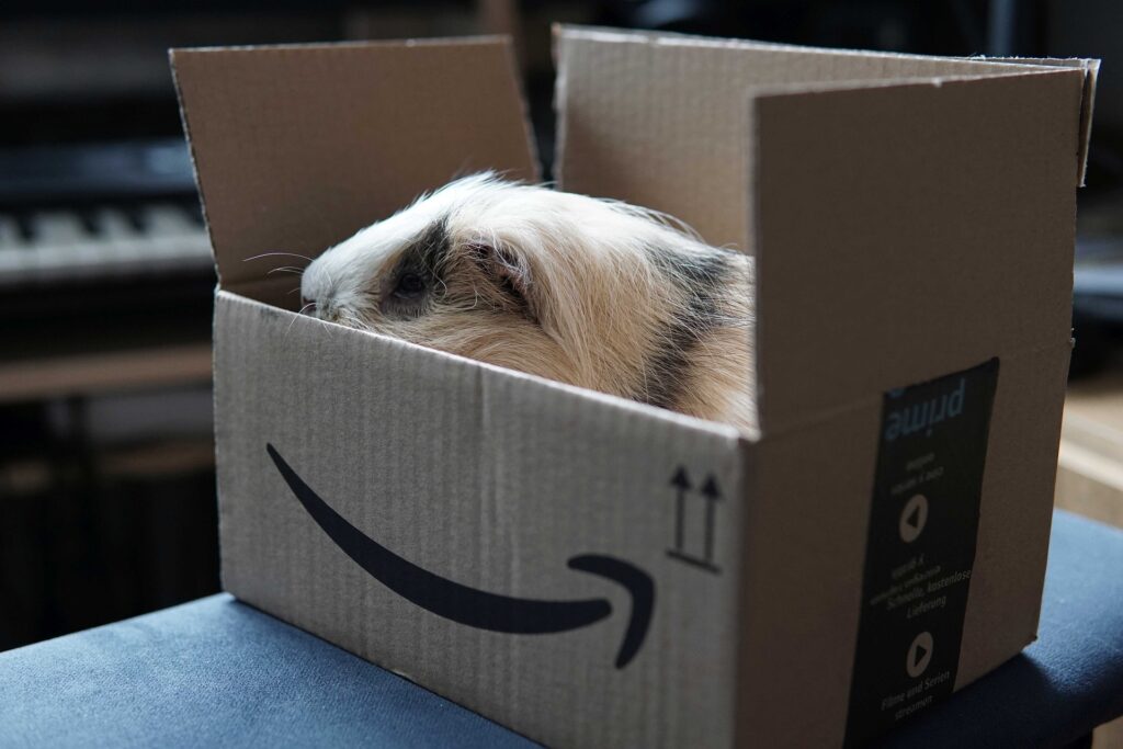 Amazon Prime: abbonati ai servizi durante il Black Friday