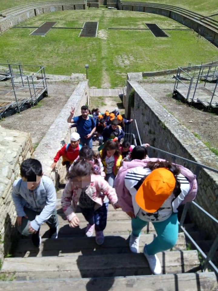 Trawelli Schools