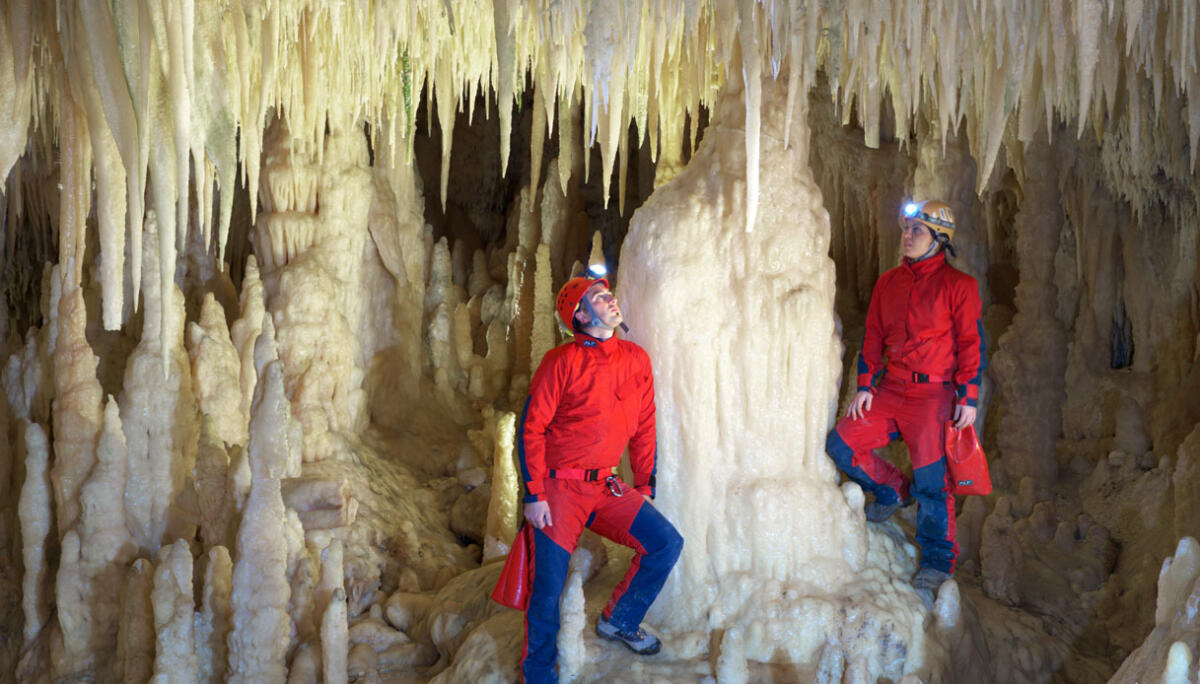 "La Grotta Bianca? E' un patrimonio dell'umanità" - SiViaggia
Le Grotte di Castellana sono le più belle d'Italia