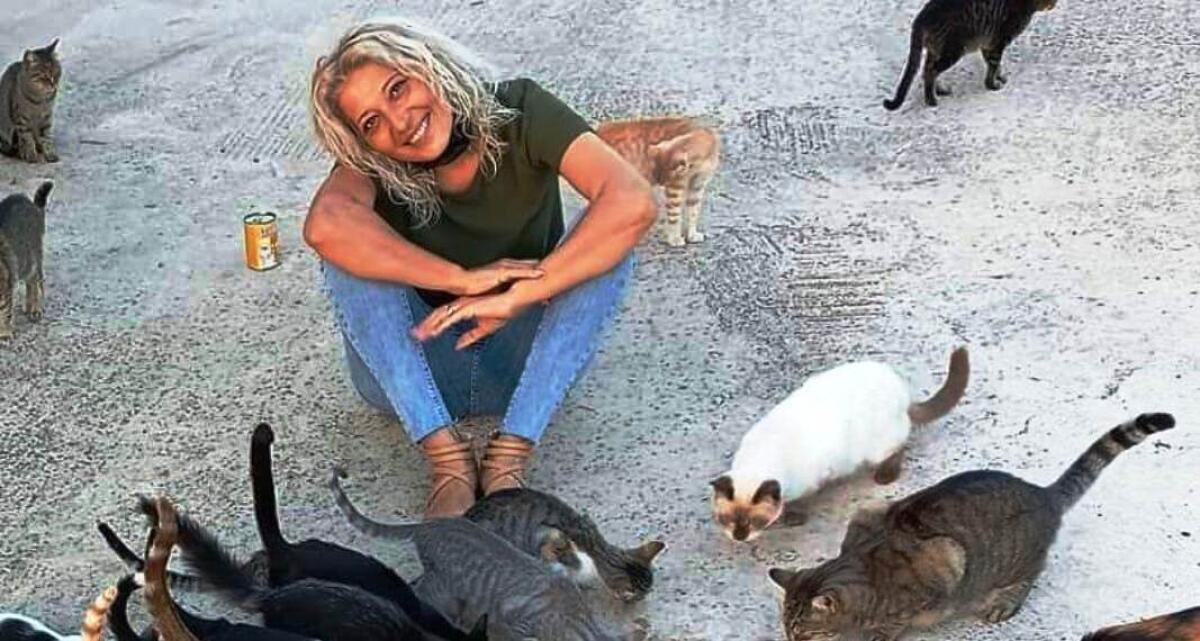 Rosa: "I gatti? Trasformano il ritorno in una casa vuota nel ritorno a casa" - "PER AMORE DI SIRO'" - LA PRESIDENTE ROSA PRENCIPE