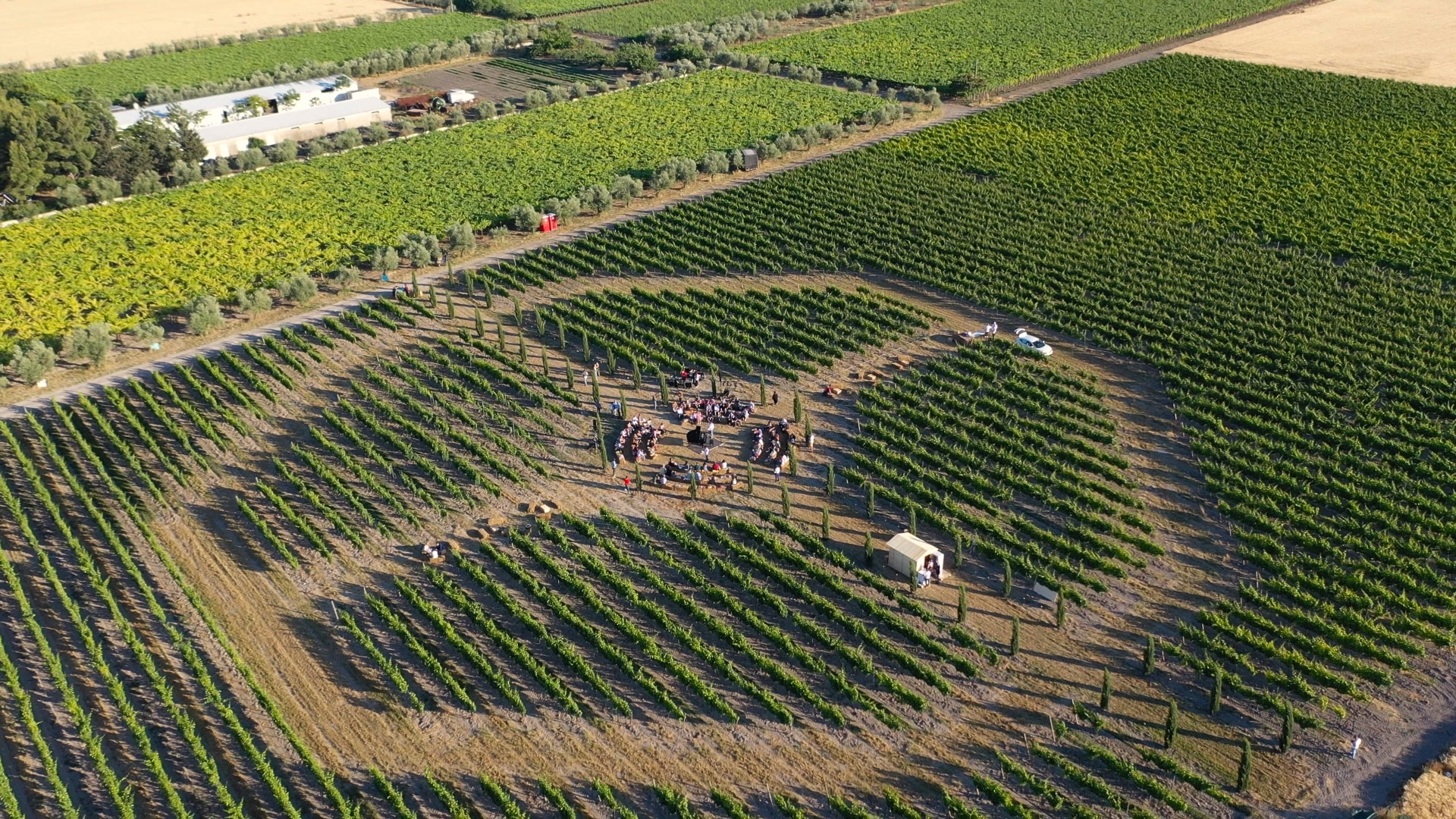 GENERAZIONE BELLEZZA - VÀZZAP, VAI A ZAPPARE - VIGNETO FEDERICO II - FOGGIA 1