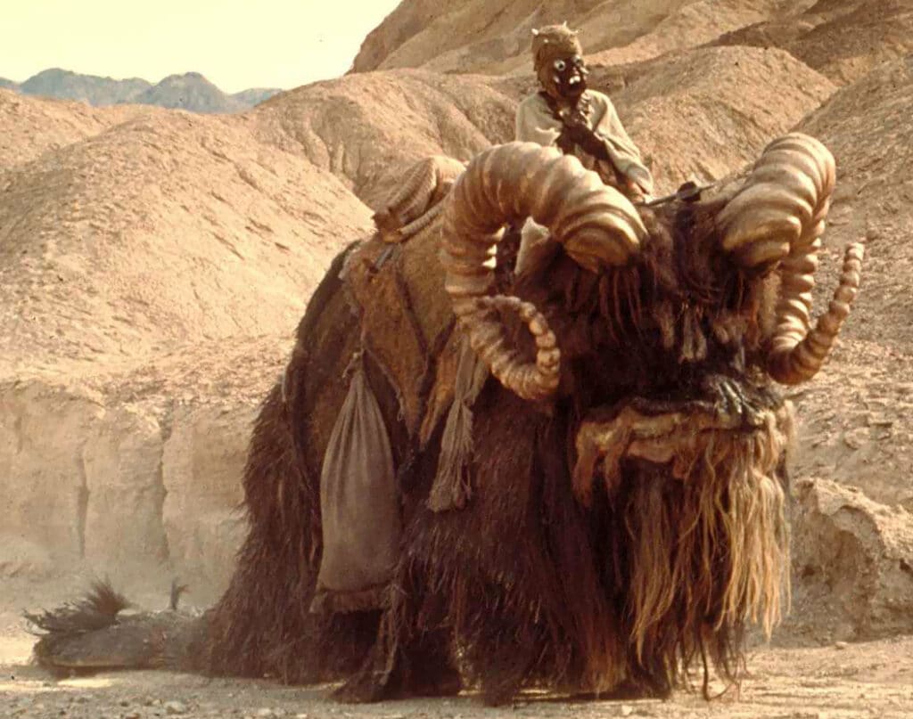 Tusken in sella a un Bantha