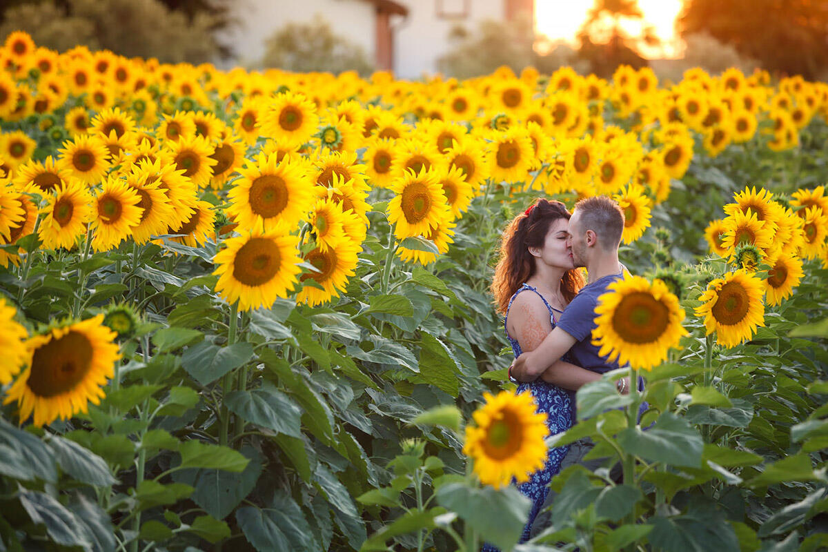 L’amore è come un fiore, sempre pronto a rinascere fra mille incertezze - 