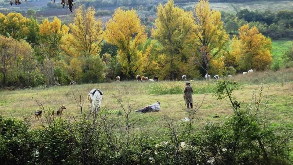 Le foto pubblicate sono di Carlo Dalessandro