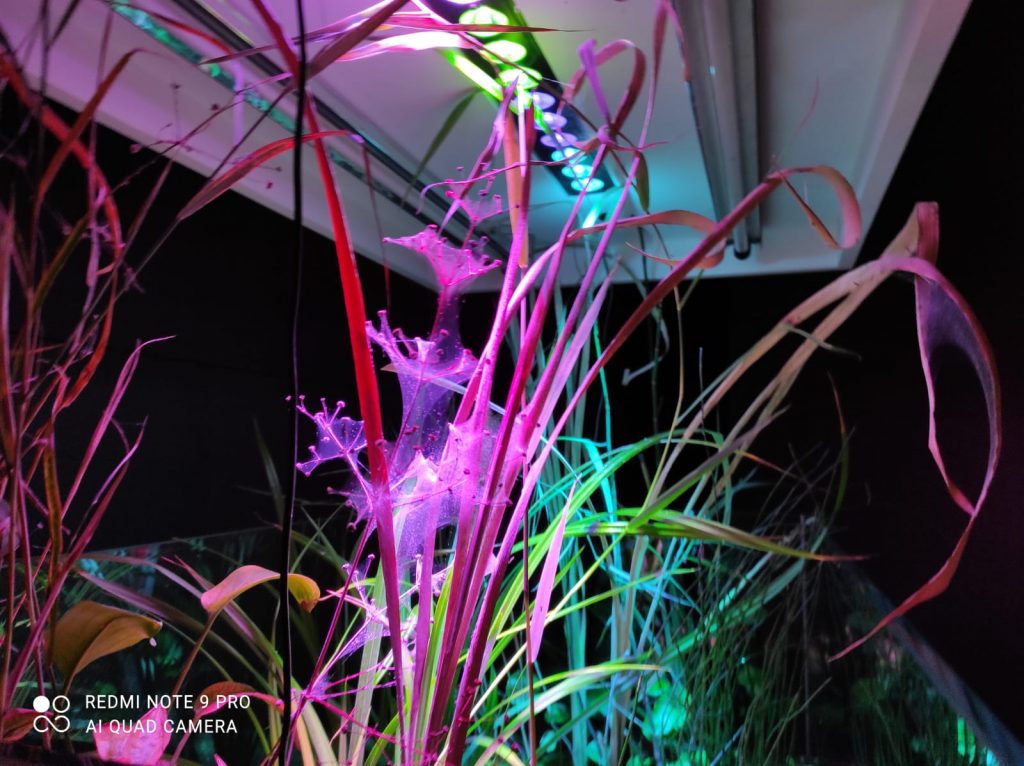 “Ti con zero”, la mostra a effetto che fa smarrire solo gli adulti