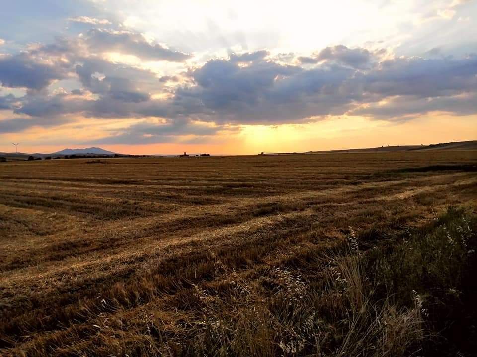 Masserie Santagatesi lancia l’allarme: “Tutto più caro, l’agricoltura muore”