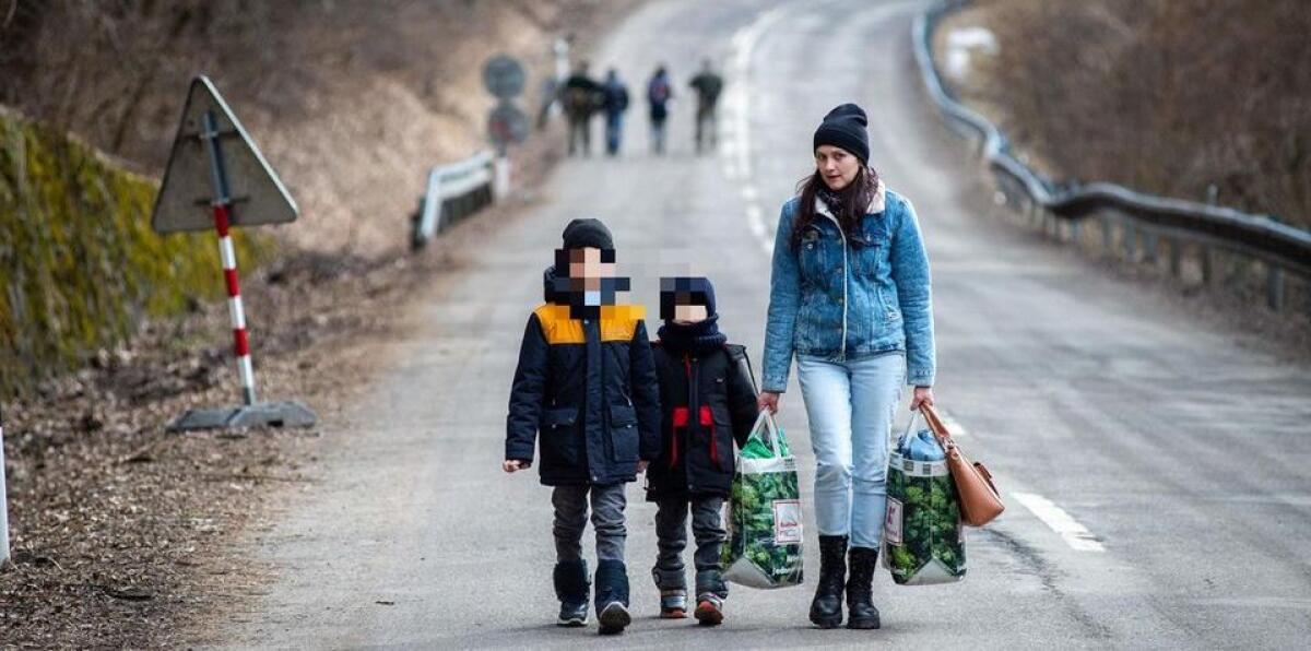 L’8 marzo è tante cose, questo lo dedichiamo alle donne e alle madri in guerra - Foto: lanuovasardegna.it