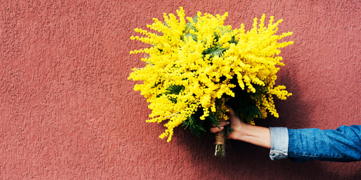 Festa della donna: storia e falsi miti dietro l'8 marzo - 