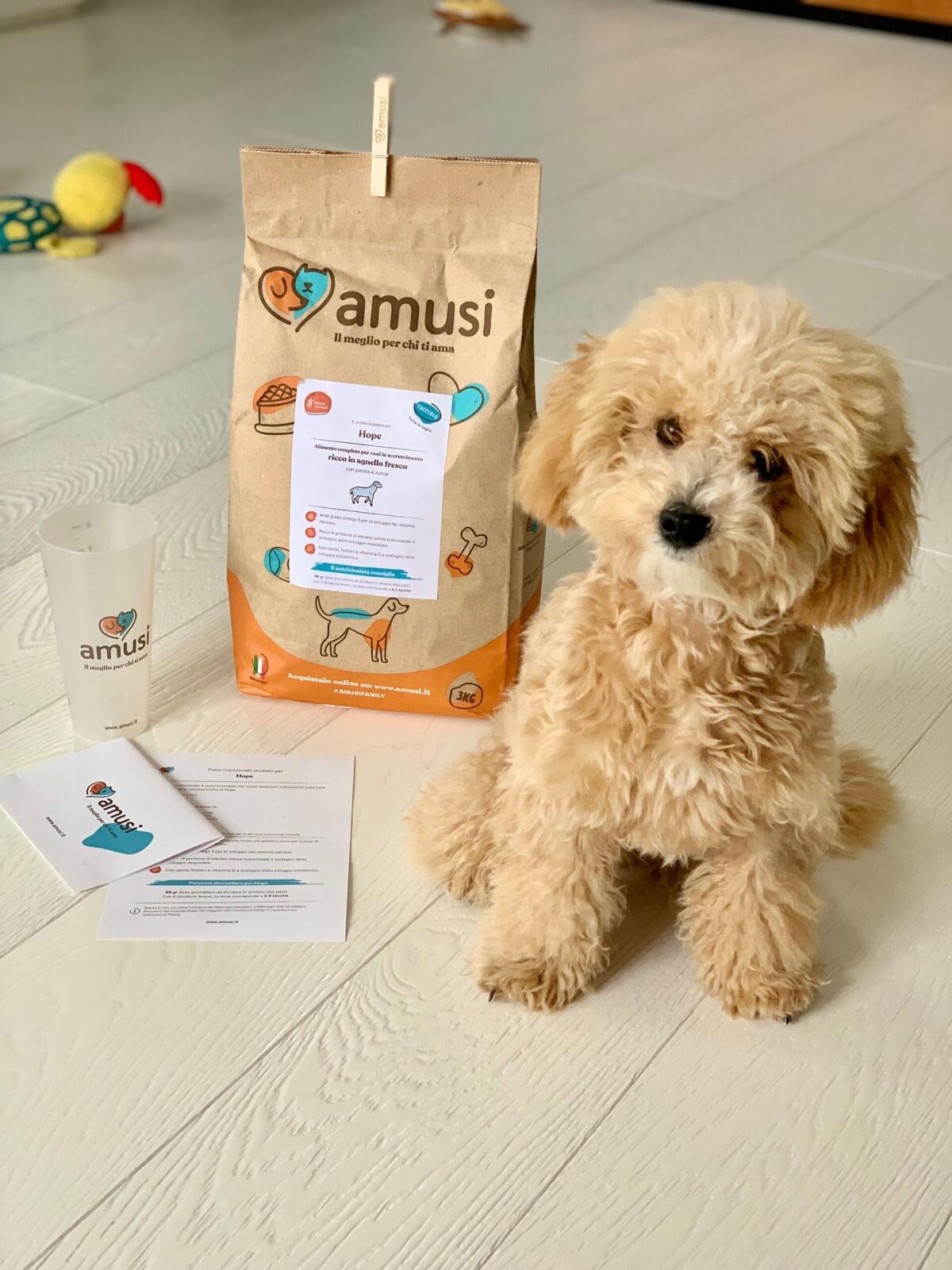 Il giusto regime proteico per rendere felice il proprio amico a quattro zampe - www.amusi.it
Amusi®: Prodotti e Cibo per Cani Made in Italy | amusi