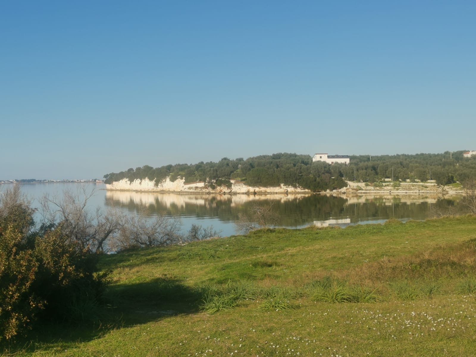 Pane, cruedde e gusci dipinti, la tradizione garganica su Linea Verde