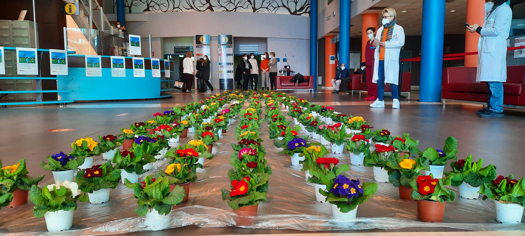 8 Marzo, fiori in ospedale per le pazienti oncologiche