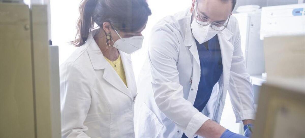 Diagnosi dell’infertilità di coppia, nuovo Donnamed Point a Foggia - Edvige Carnevale e Angelo Tocci