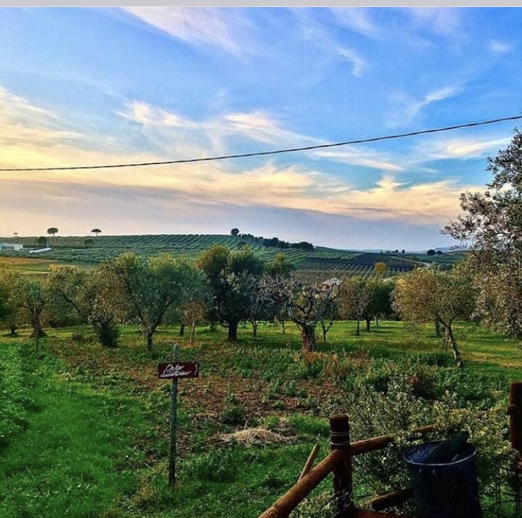 "La mia terra è la mia casa, qui è nata una delle prime masserie didattiche”