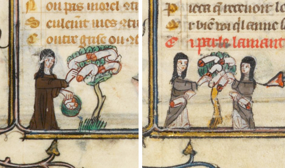 "Roman de la Rose", manoscritto francese XIV sec.