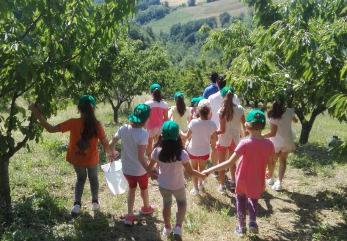 Campi estivi per profughi dall'Ucraina, ospitano i “Piccoli Comuni welcome” - Foto di repertorio- mammemarchigiane.it