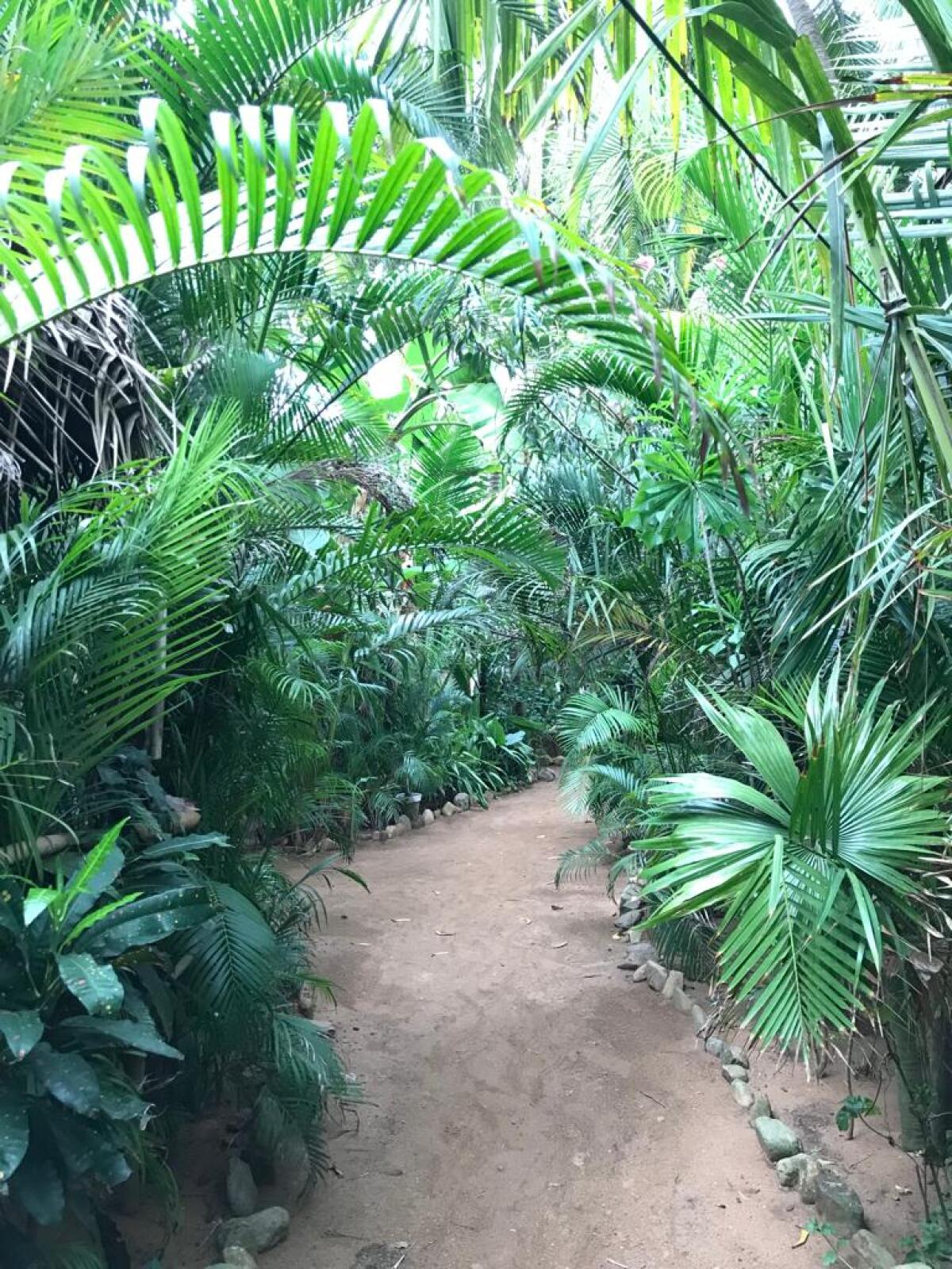 Yoga space. “Il cammino verso la serenità” (VII) - Immagine in allegato, yoga