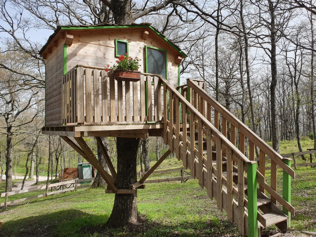 Mario De Angelis e il suo progetto "visionario" di bosco turistico e inclusivo
