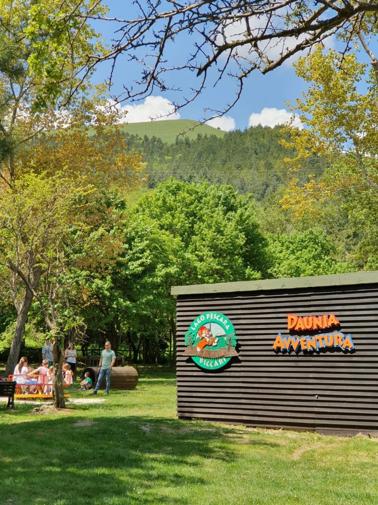 Mario De Angelis e il suo progetto "visionario" di bosco turistico e inclusivo
