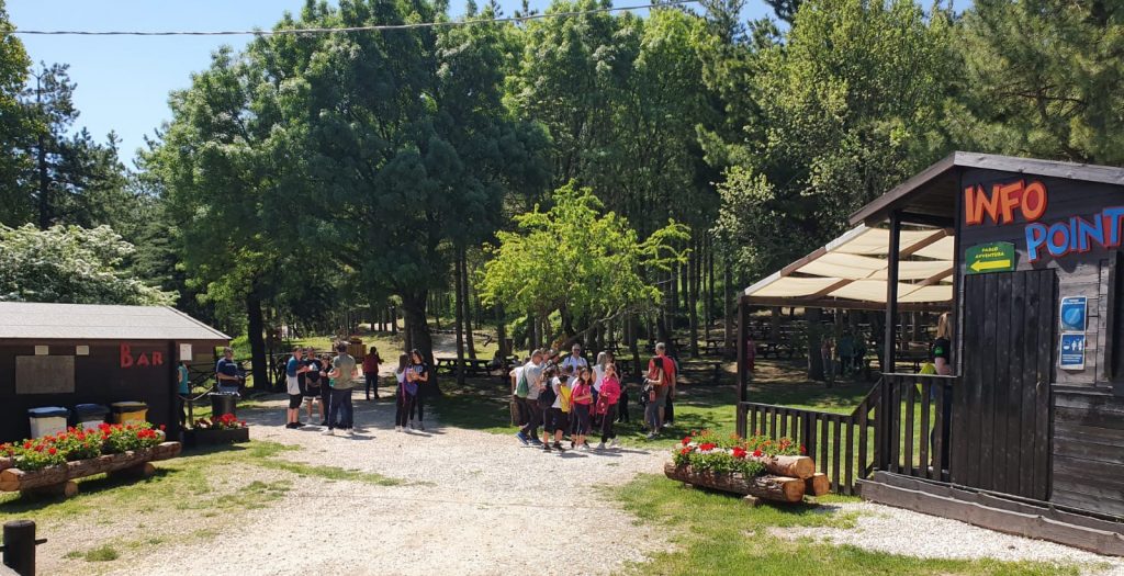 Mario De Angelis e il suo progetto "visionario" di bosco turistico e inclusivo