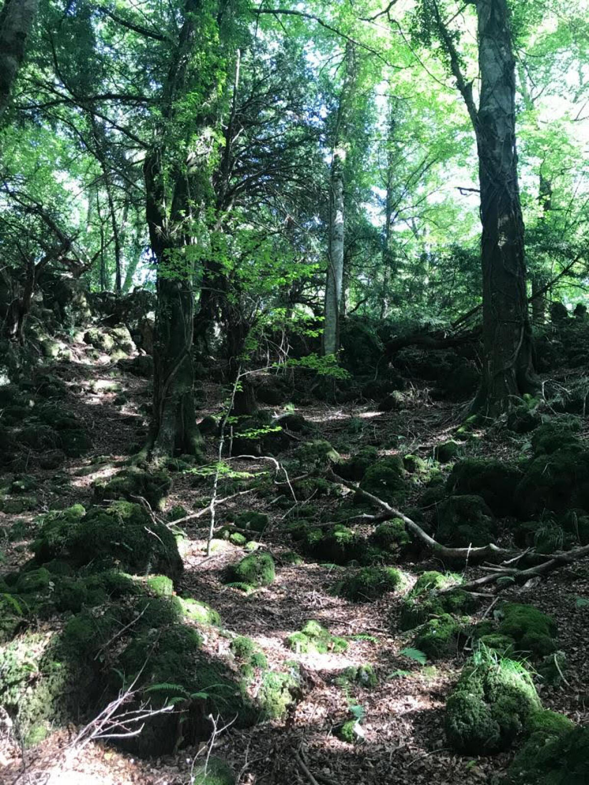 Yoga Space (XI). Chi vive nel Samadhi ha capito e abbraccia i propri valori - 