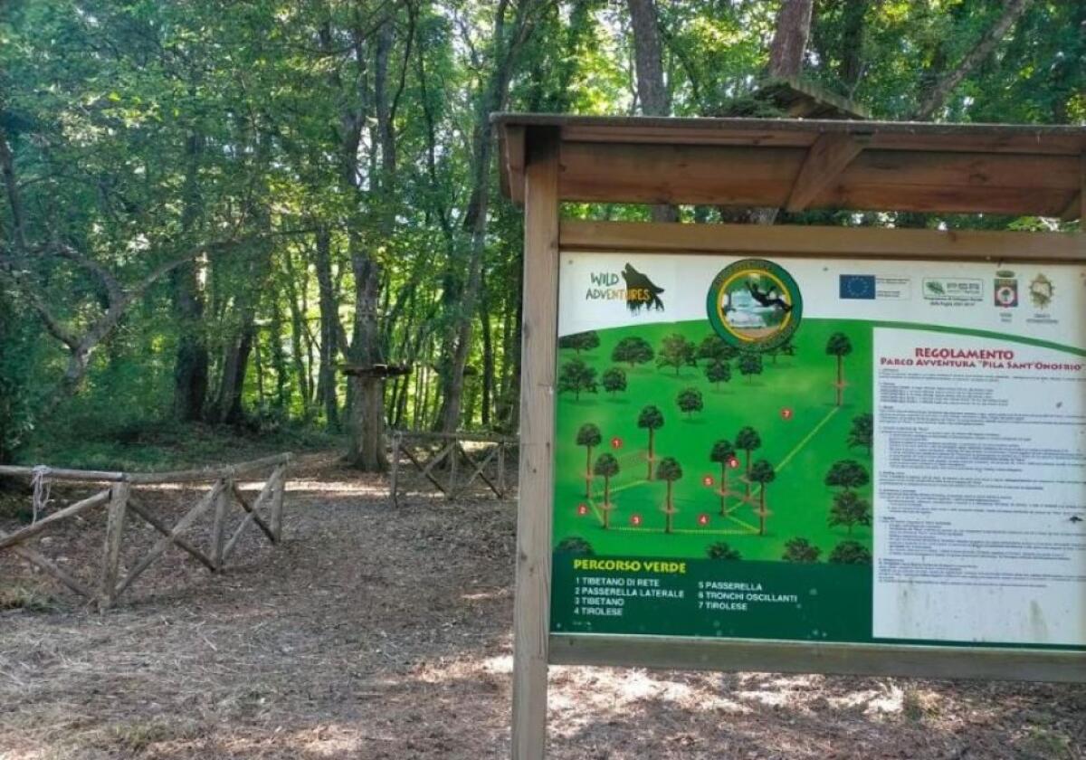 Pietramontecorvino, arrampicate su tronchi secolari per il nuovo Parco Avventura - 