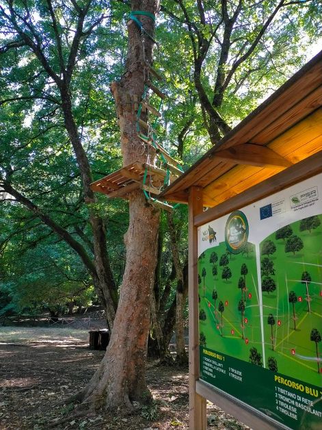 Pietramontecorvino, arrampicate su tronchi secolari per il nuovo Parco Avventura