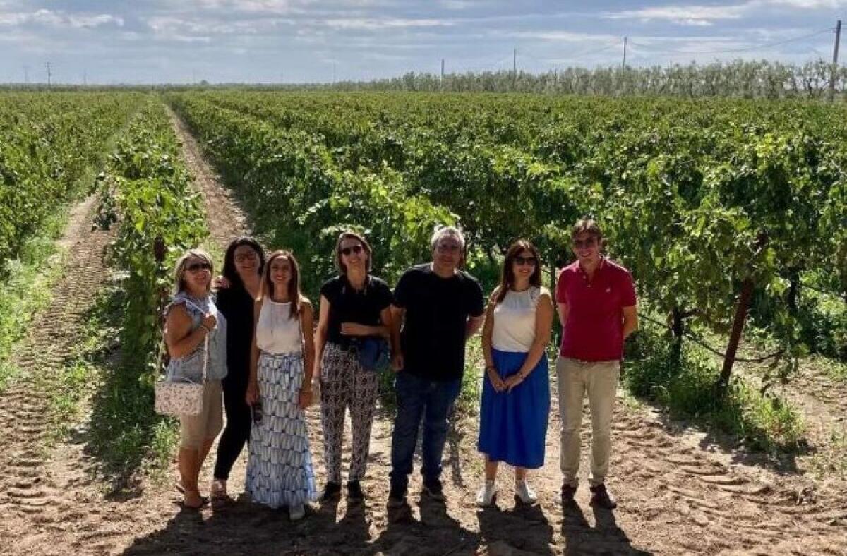 Press tour a Cerignola con blogger e giornalisti per la vendemmia - 