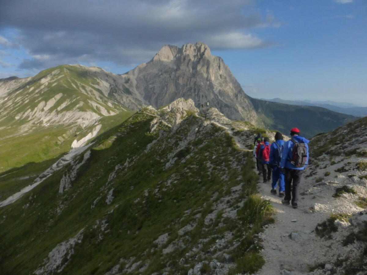 In montagna con Ercole a scoprire stelle alpine e a cantar d'amor - Foto: TrekkingGuide