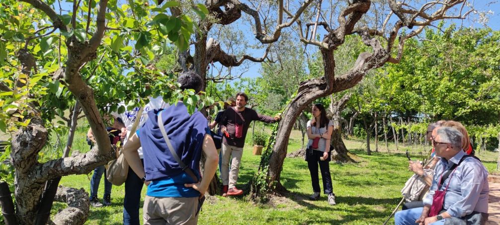 Festa dell’autunno a Orsara, aperitivi in vigna, musica e turismo lento