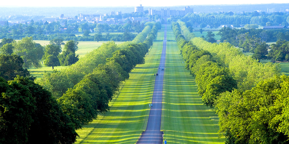 Una panoramica del Windsor Great Park.Da: canuck abroad