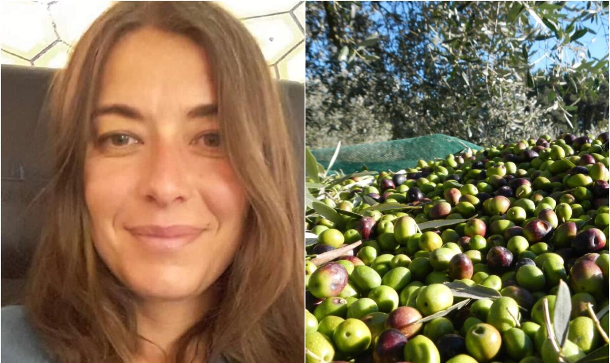 Sei andato a raccogliere le olive? La prof non ti interroga il giorno dopo - La prof Valeria Scaringella