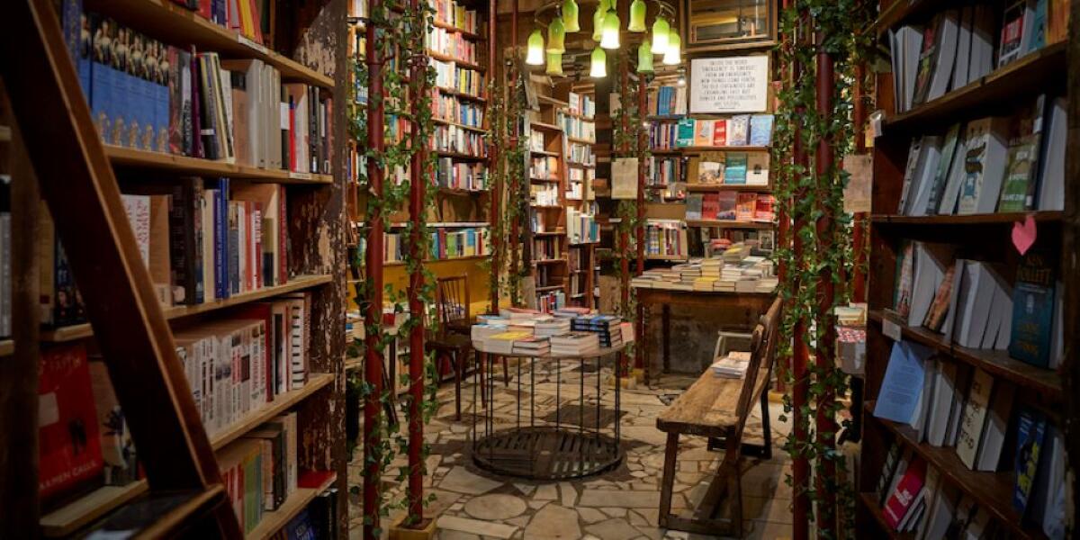 La sostenibile leggerezza dei libri, i consigli natalizi di Concetta - 