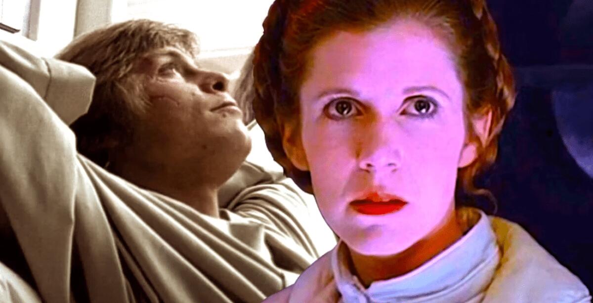 Episodio V: la scena tagliata che avrebbe cambiato per sempre Star Wars - Luke e Leia in Episodio V.
Da: screenrant