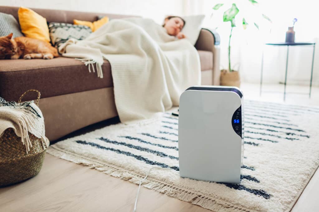 Dehumidifier with touch panel, humidity indicator, uv lamp, air ionizer, water container works at home while woman sleeping. Air dryer