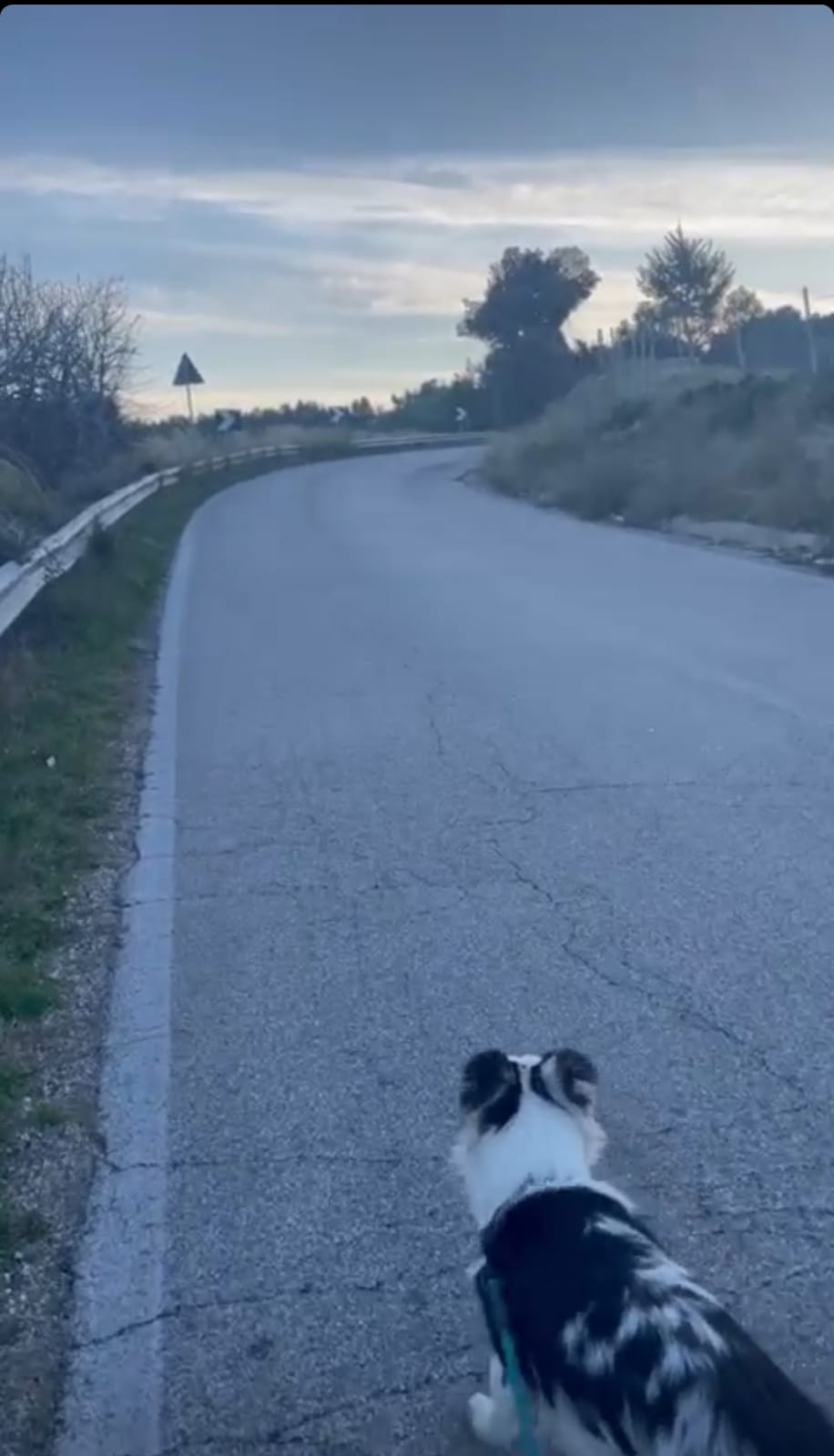 Sul Gargano abbiamo incontrato Rio, nomade digitale a piedi per l'Italia