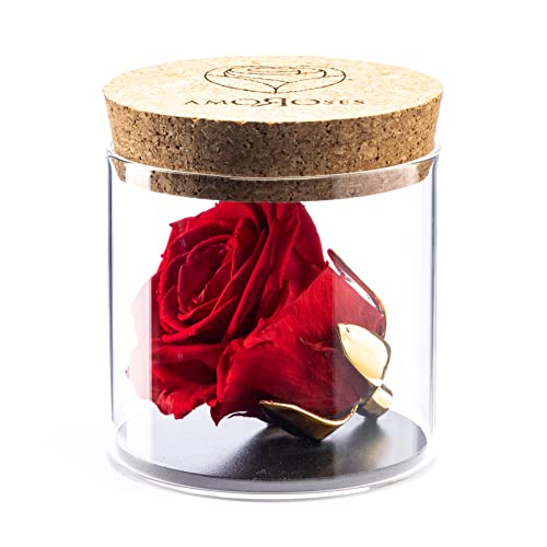 Amoroses Bijou Rosa Stabilizzata Eterna