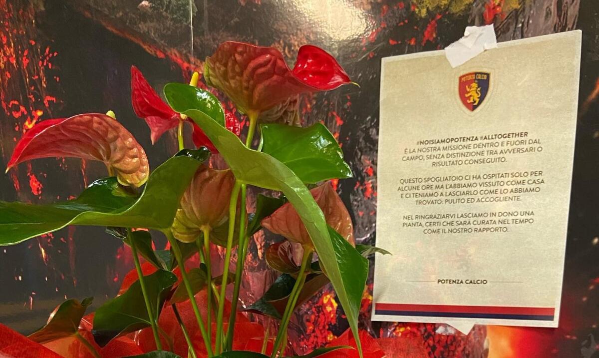 Foggia-Potenza, il bellissimo messaggio dei rossoblù - Immagine in evidenza: il bellissimo messaggio del Potenza - crediti foto: pagina ufficiale Facebook Calcio Foggia 1920