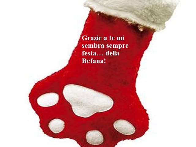 Grazie a te mi sembra sempre festa… della Befana!