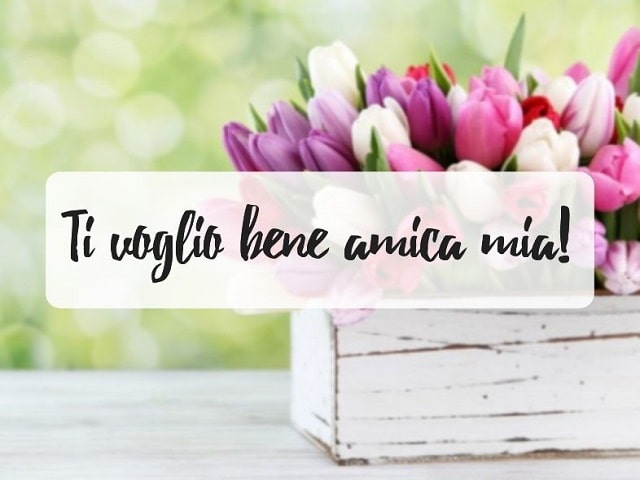 Ti voglio bene amica mia!