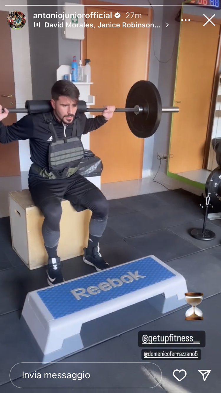 Vacca in palestra