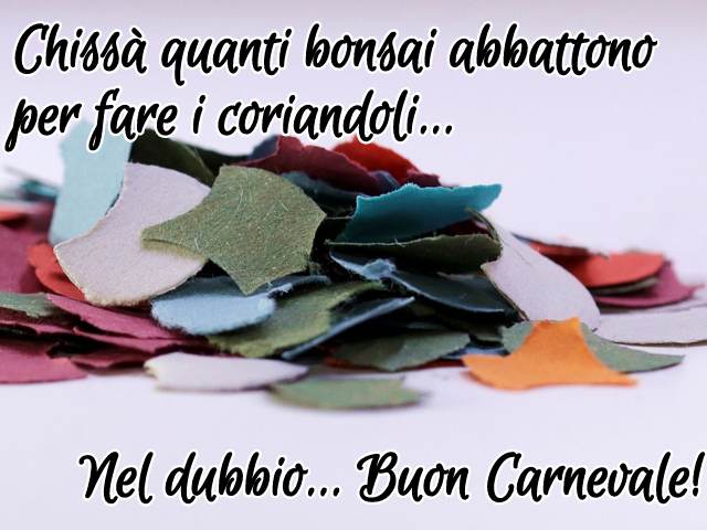Chissà quanti bonsai abbattono per fare i coriandoli... Nel dubbio... Buon Carnevale!
