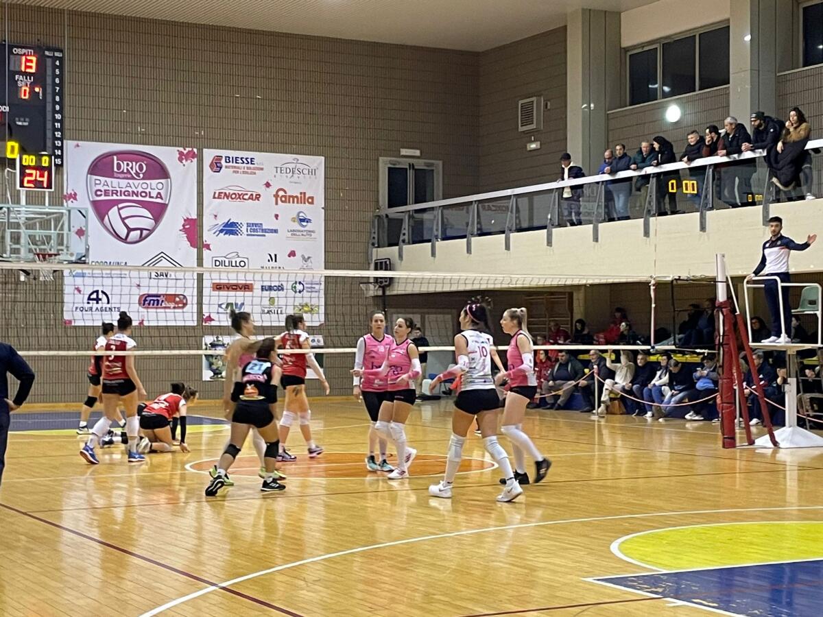 Le pantere di Pallavolo Cerignola ripartono bene, 3-0 con Primadonna Bari - 
